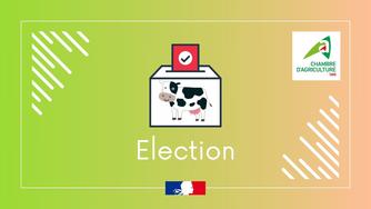 Elections-des-membres-de-la-Chambre-d-agriculture-2025_large